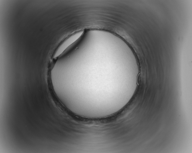 X0000088050434200706081632
