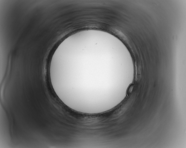 X0000088050435200706081632