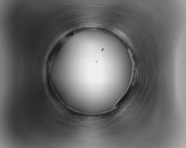 X0000088050436200706081632