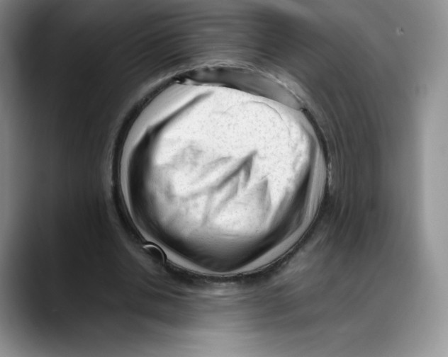 X0000088050438200706081632