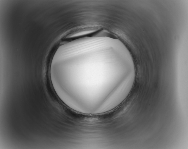 X0000088050440200706081632