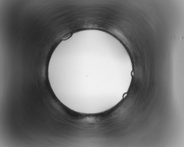 X0000088050441200706081632