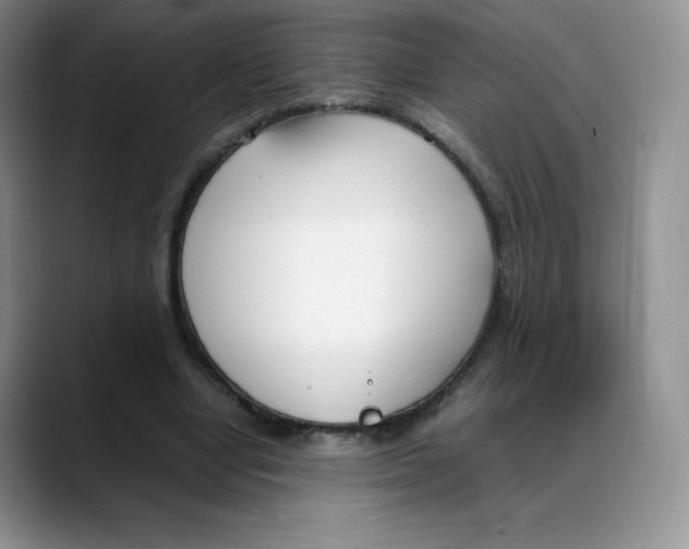 X0000088050442200706081632
