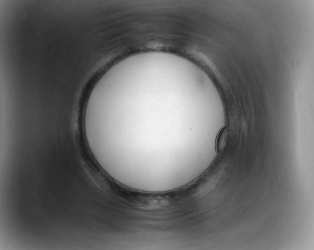 X0000088050443200706081632