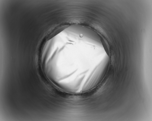 X0000088050444200706081632