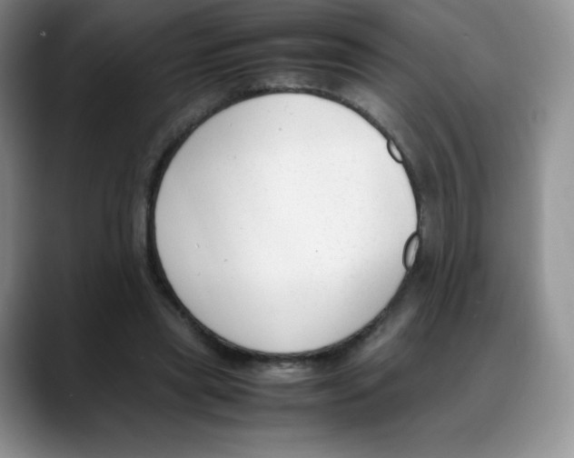 X0000088050445200706081632