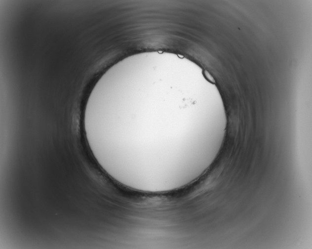 X0000088050446200706081632