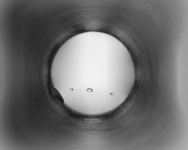 X0000088050448200706081633