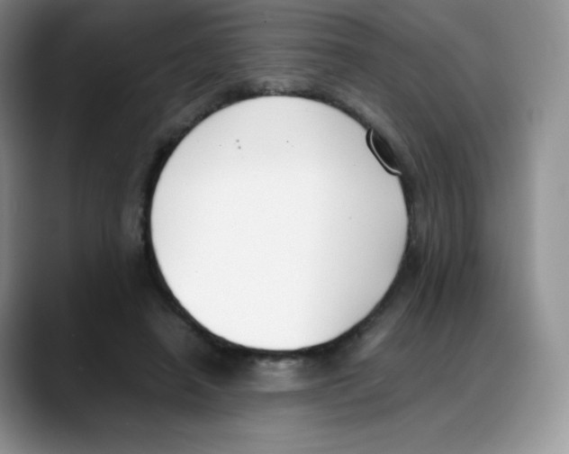 X0000088050450200706081633