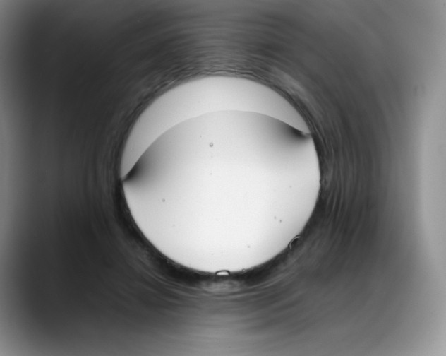 X0000088050452200706081633