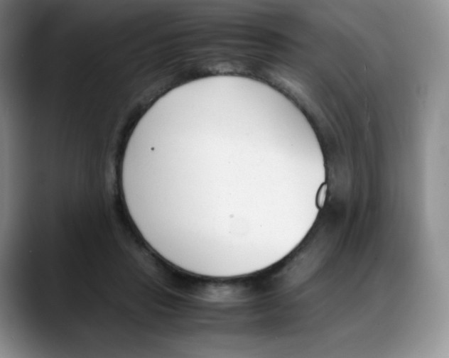 X0000088050453200706081633