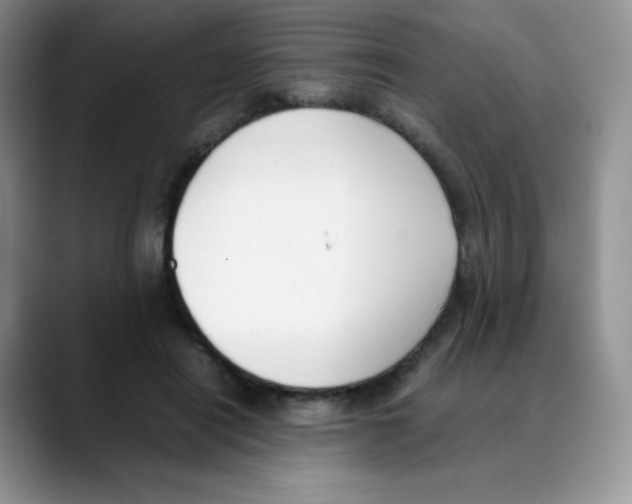 X0000088050454200706081633