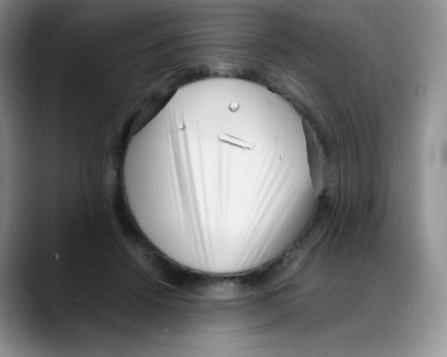 X0000088050456200706081633