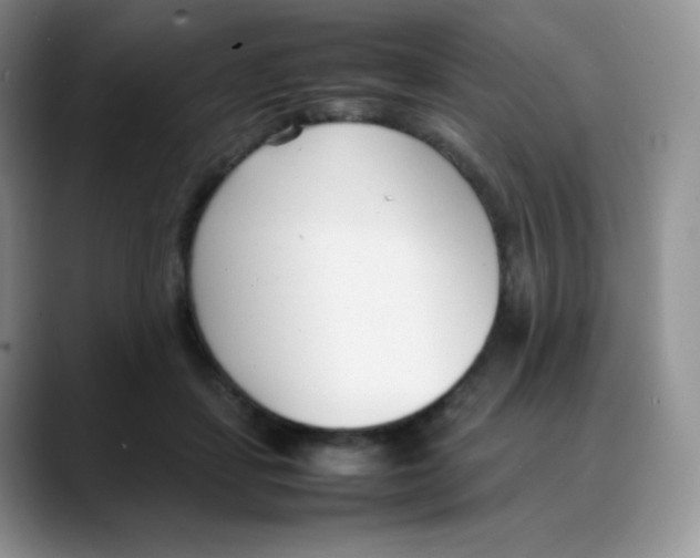 X0000088050459200706081633