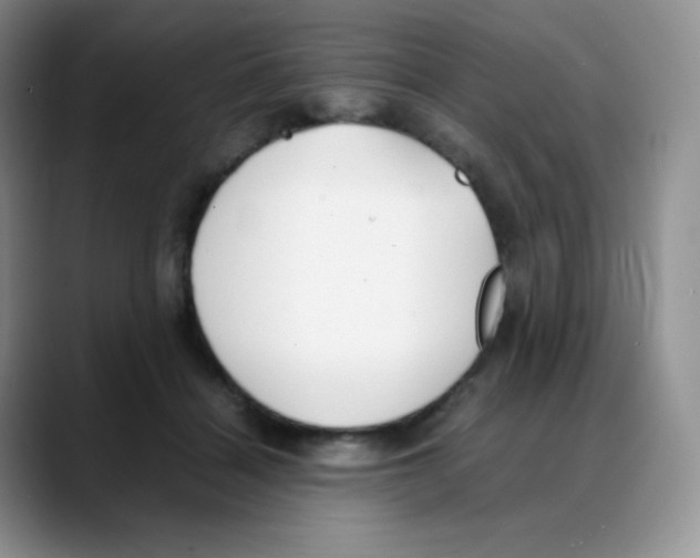 X0000088050460200706081633