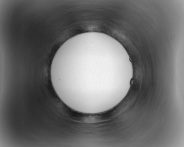 X0000088050461200706081633