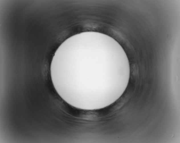 X0000088050463200706081633