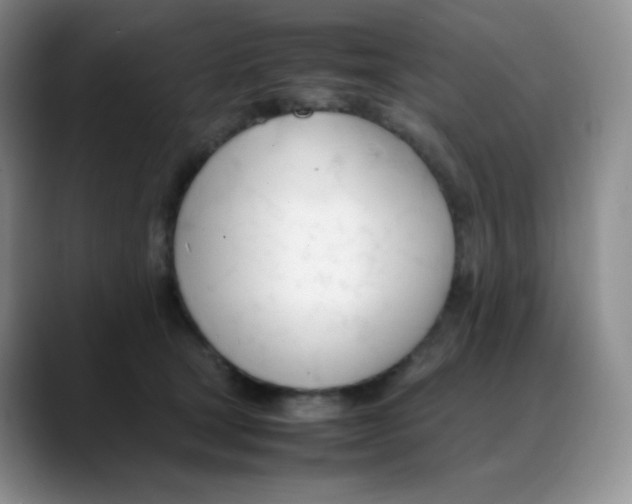 X0000088050465200706081633