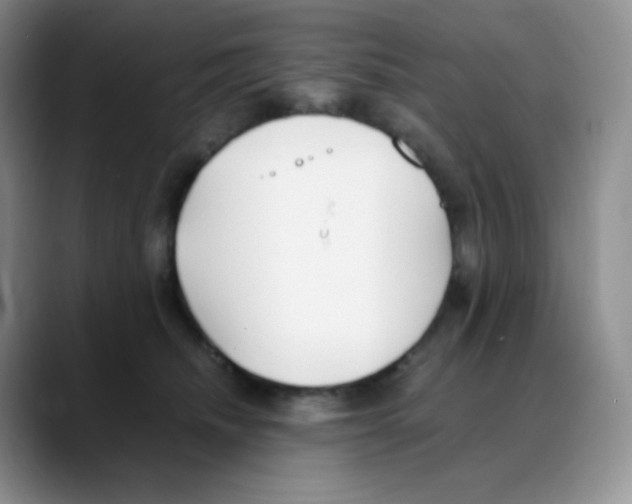 X0000088050468200706081633