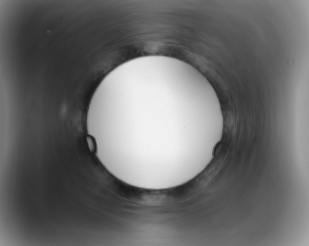 X0000088050470200706081633