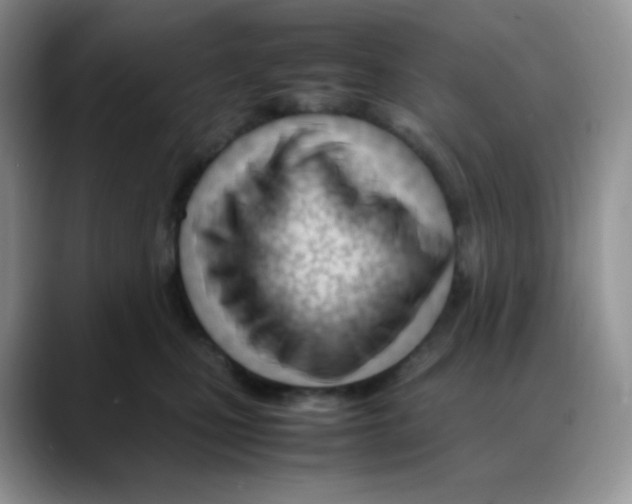 X0000088050471200706081633