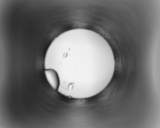 X0000088050474200706081633