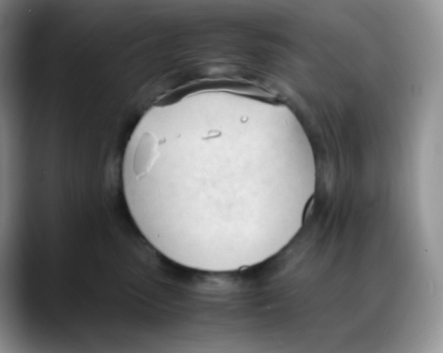 X0000088050475200706081633
