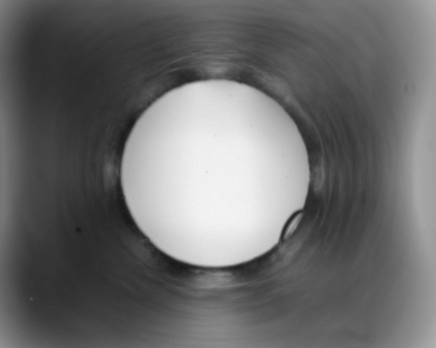 X0000088050476200706081633