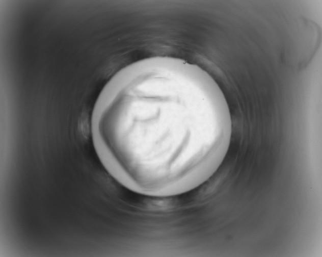 X0000088050479200706081633