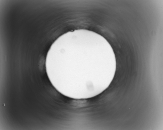 X0000088050480200706081633