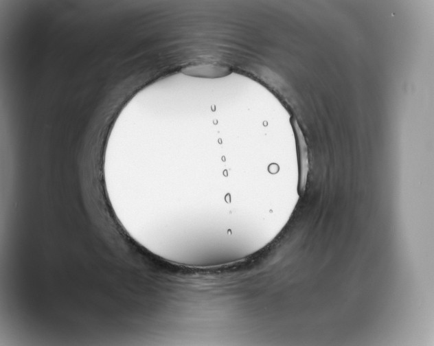 X0000088050481200706081632