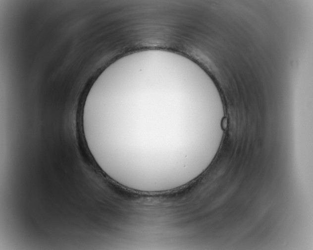 X0000088050482200706081632