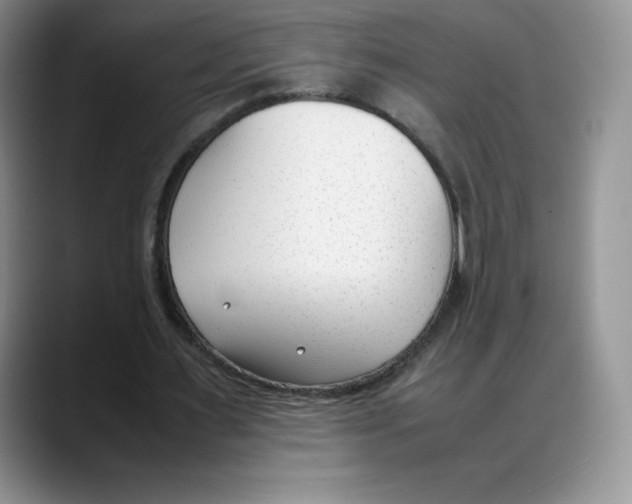 X0000088050483200706081632