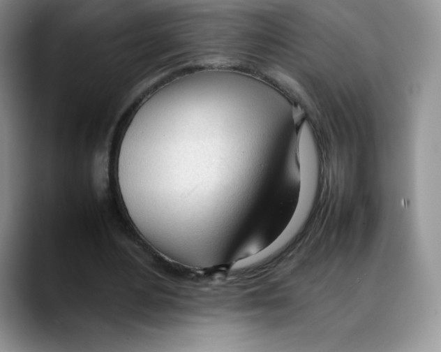 X0000088050484200706081632