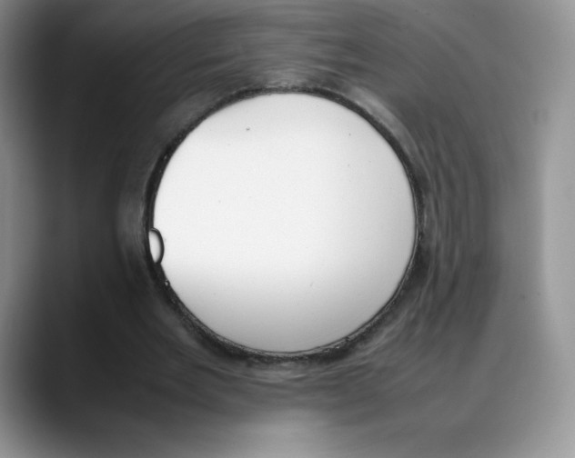 X0000088050485200706081632
