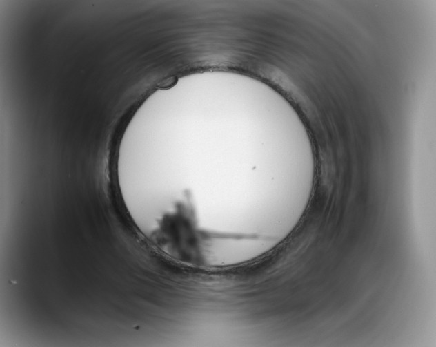 X0000088050486200706081632