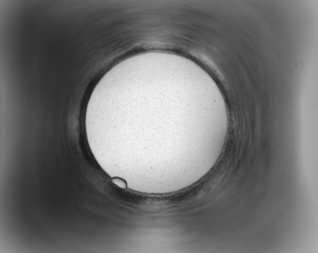 X0000088050487200706081632