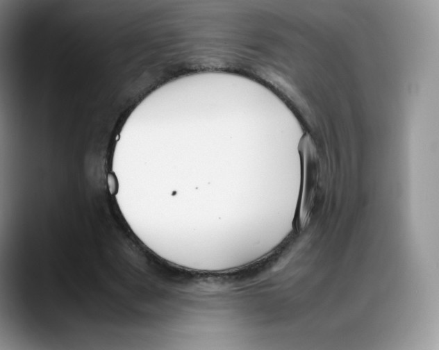 X0000088050489200706081632