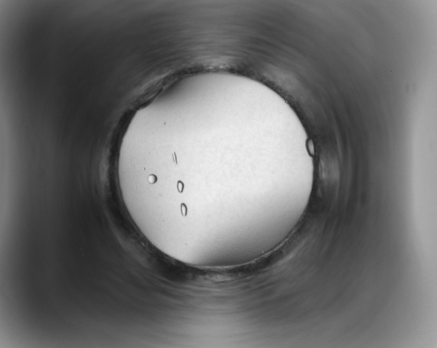 X0000088050492200706081632