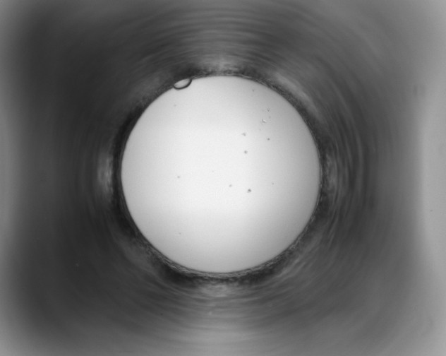 X0000088050494200706081632