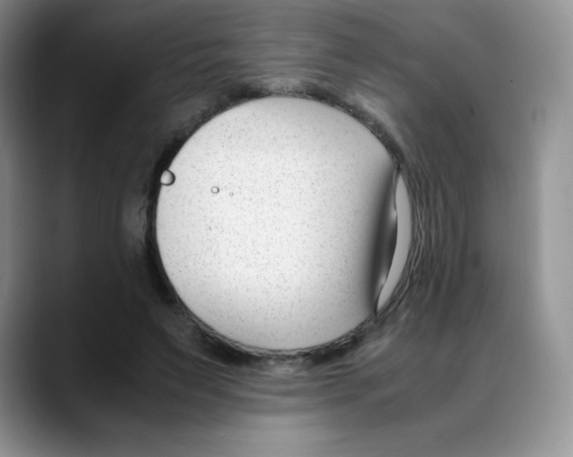X0000088050495200706081632