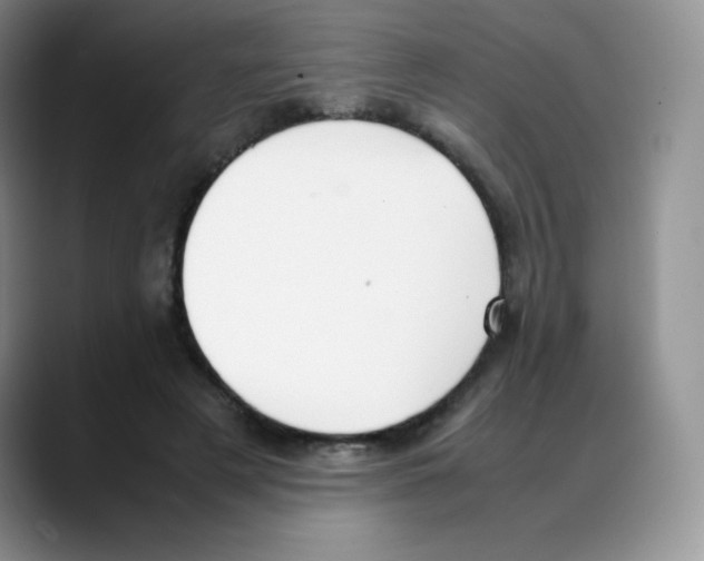 X0000088050497200706081632