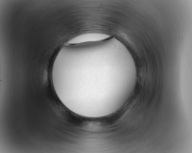 X0000088050500200706081632