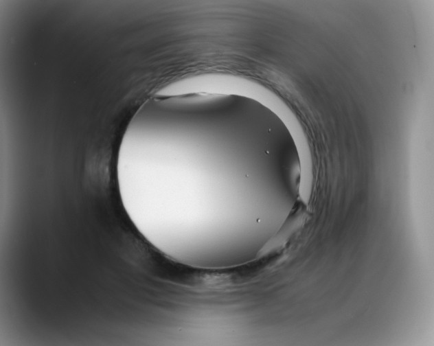 X0000088050501200706081632