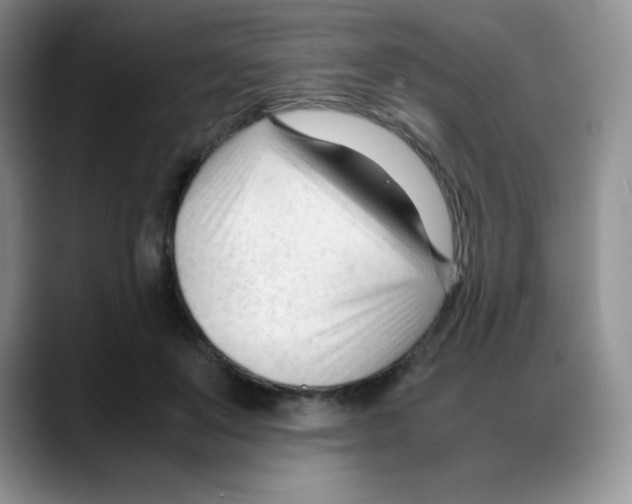 X0000088050503200706081632