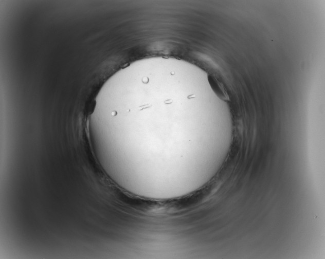 X0000088050504200706081632