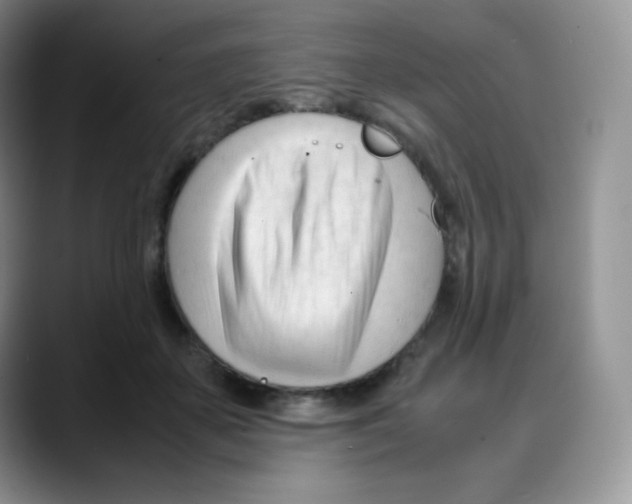 X0000088050507200706081632