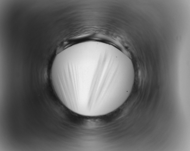 X0000088050508200706081632