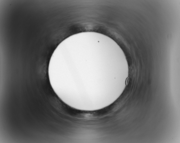 X0000088050509200706081632