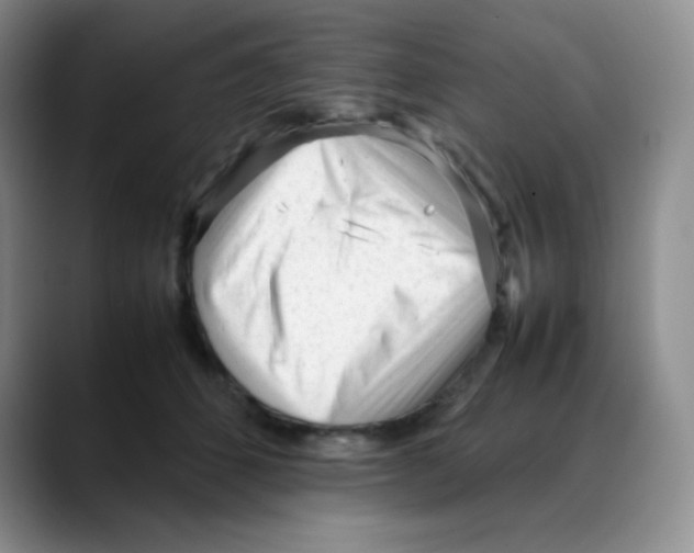 X0000088050512200706081632